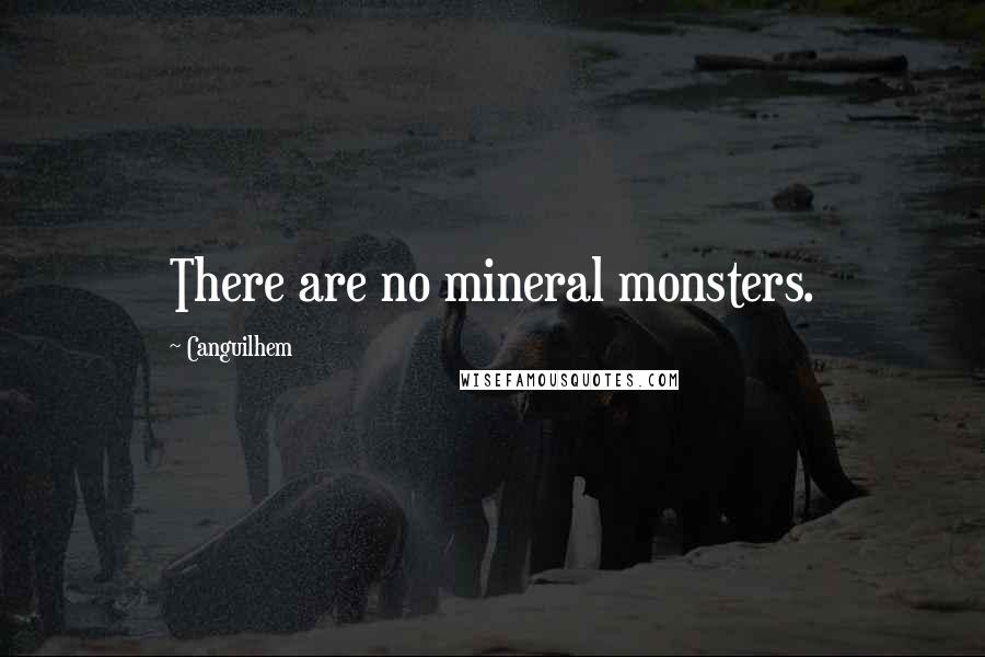 Canguilhem Quotes: There are no mineral monsters.