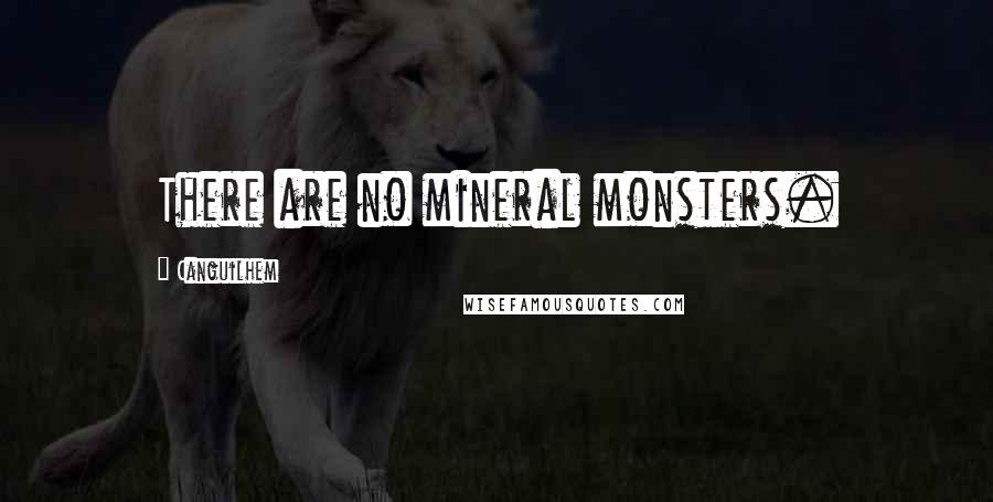 Canguilhem Quotes: There are no mineral monsters.