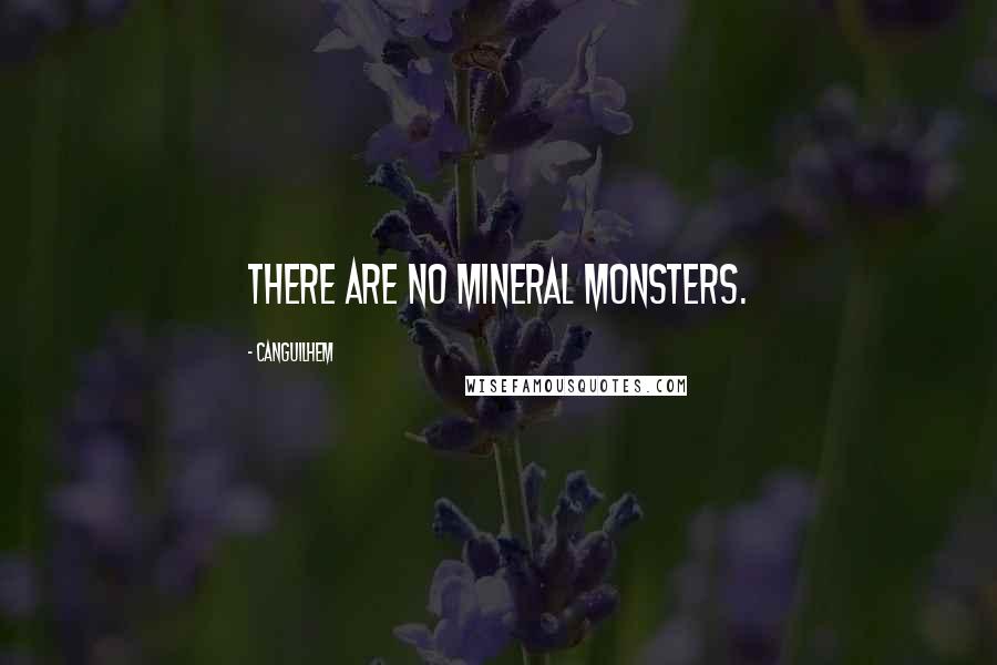 Canguilhem Quotes: There are no mineral monsters.