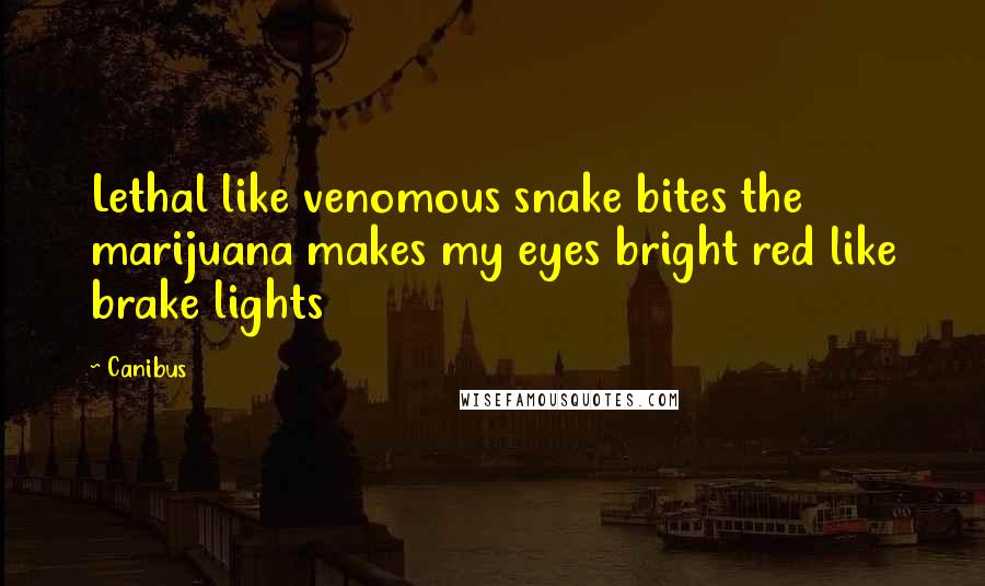 Canibus Quotes: Lethal like venomous snake bites the marijuana makes my eyes bright red like brake lights
