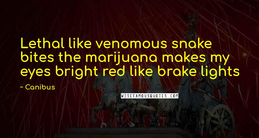 Canibus Quotes: Lethal like venomous snake bites the marijuana makes my eyes bright red like brake lights