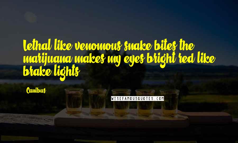 Canibus Quotes: Lethal like venomous snake bites the marijuana makes my eyes bright red like brake lights