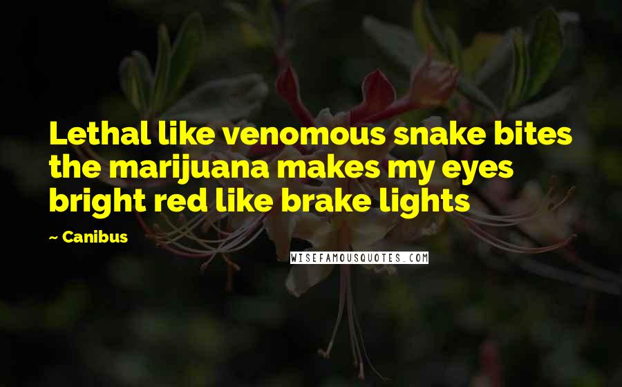 Canibus Quotes: Lethal like venomous snake bites the marijuana makes my eyes bright red like brake lights