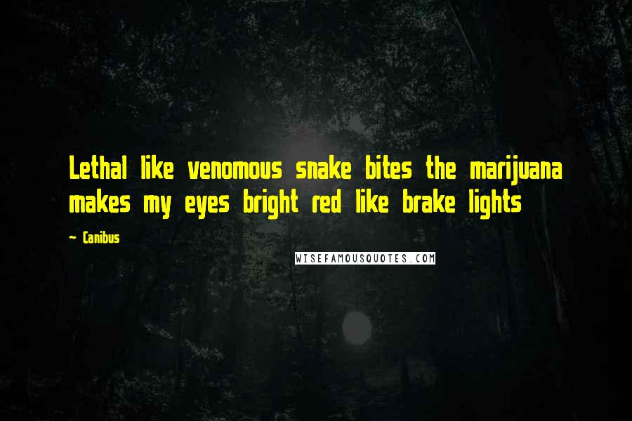 Canibus Quotes: Lethal like venomous snake bites the marijuana makes my eyes bright red like brake lights