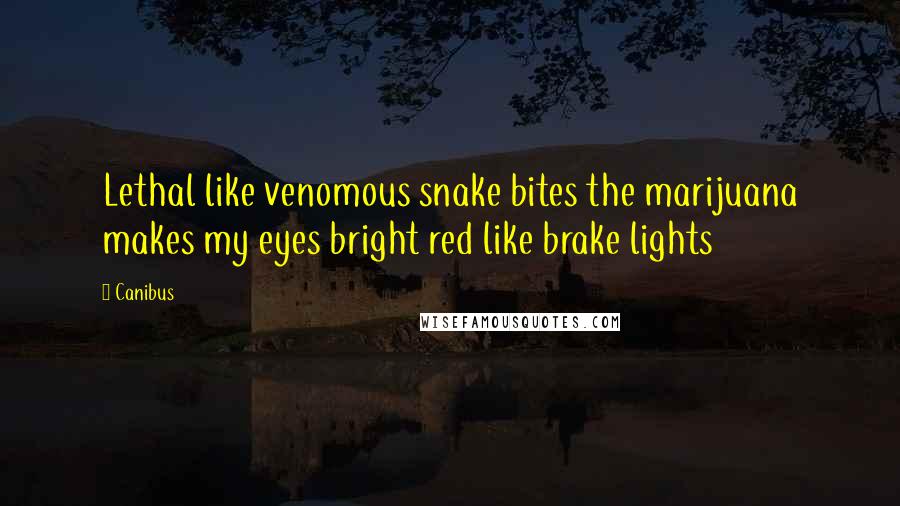 Canibus Quotes: Lethal like venomous snake bites the marijuana makes my eyes bright red like brake lights