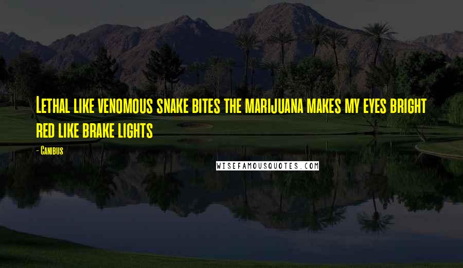Canibus Quotes: Lethal like venomous snake bites the marijuana makes my eyes bright red like brake lights
