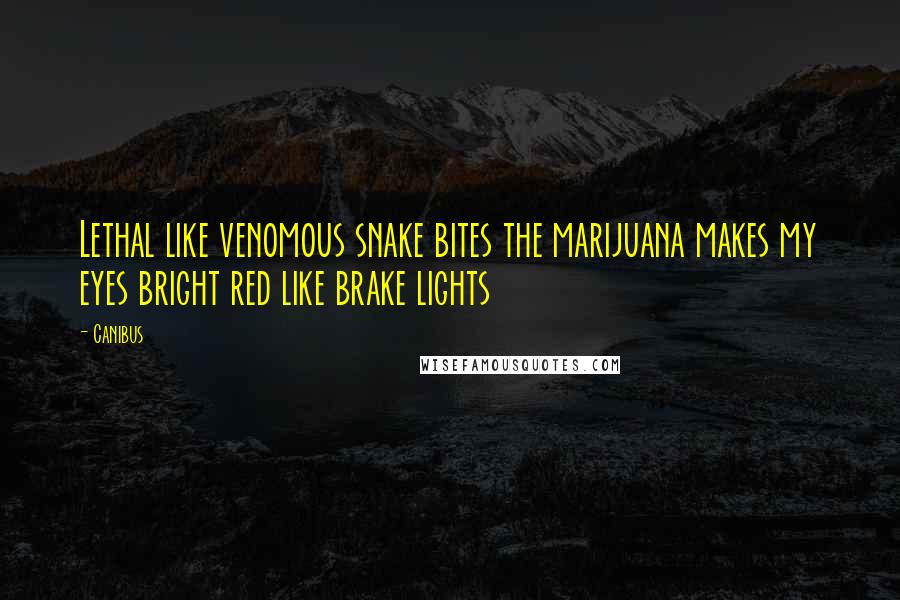 Canibus Quotes: Lethal like venomous snake bites the marijuana makes my eyes bright red like brake lights