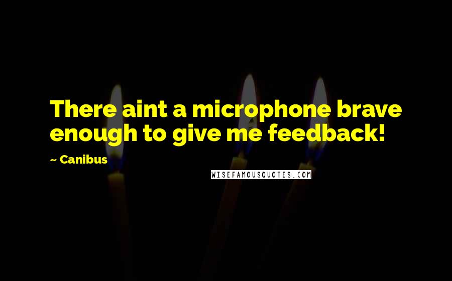 Canibus Quotes: There aint a microphone brave enough to give me feedback!