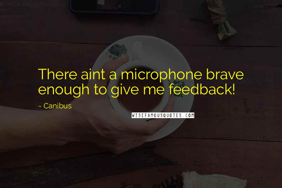 Canibus Quotes: There aint a microphone brave enough to give me feedback!