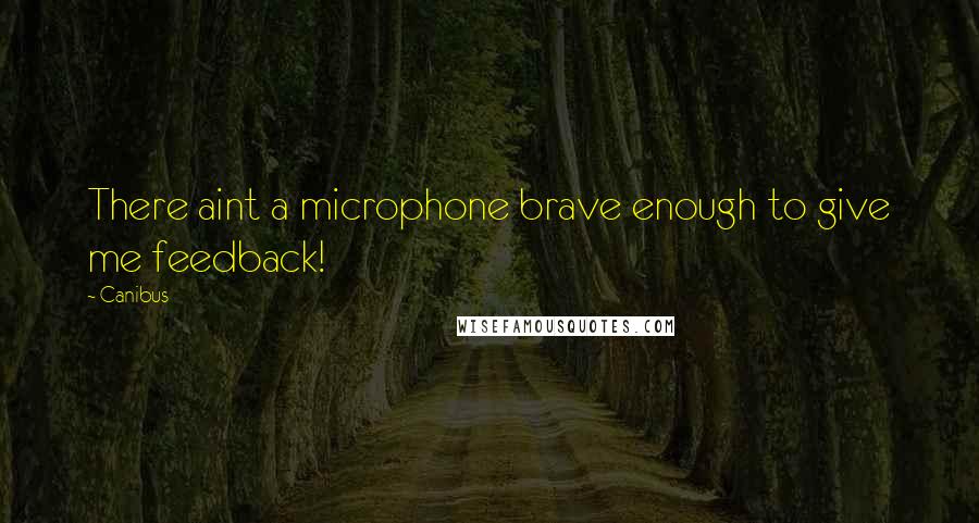 Canibus Quotes: There aint a microphone brave enough to give me feedback!