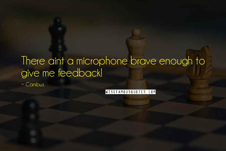 Canibus Quotes: There aint a microphone brave enough to give me feedback!