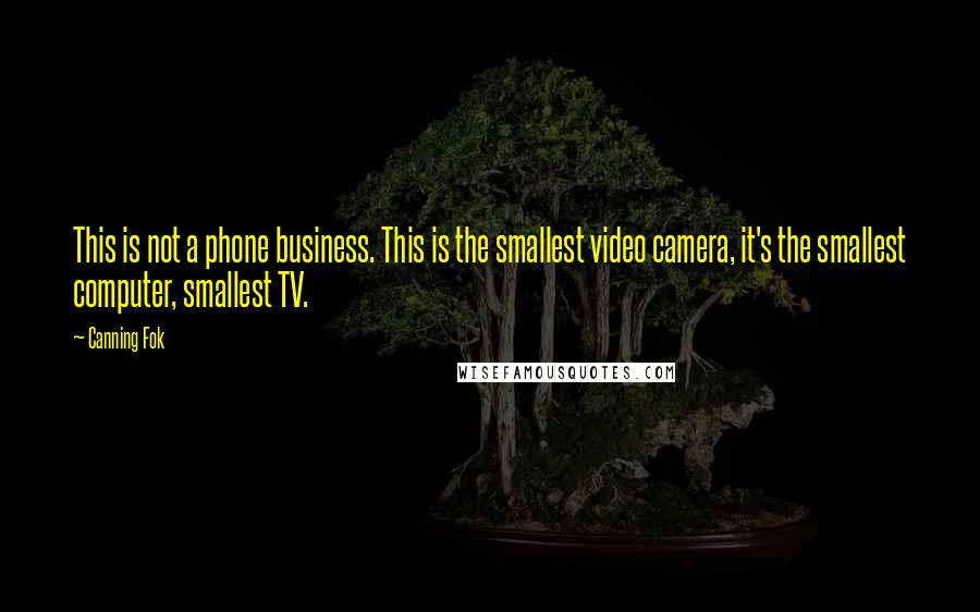Canning Fok Quotes: This is not a phone business. This is the smallest video camera, it's the smallest computer, smallest TV.