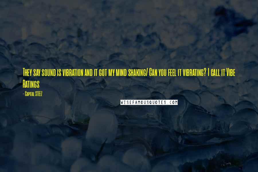 Capital STEEZ Quotes: They say sound is vibration and it got my mind shaking/ Can you feel it vibrating? I call it Vibe Ratings