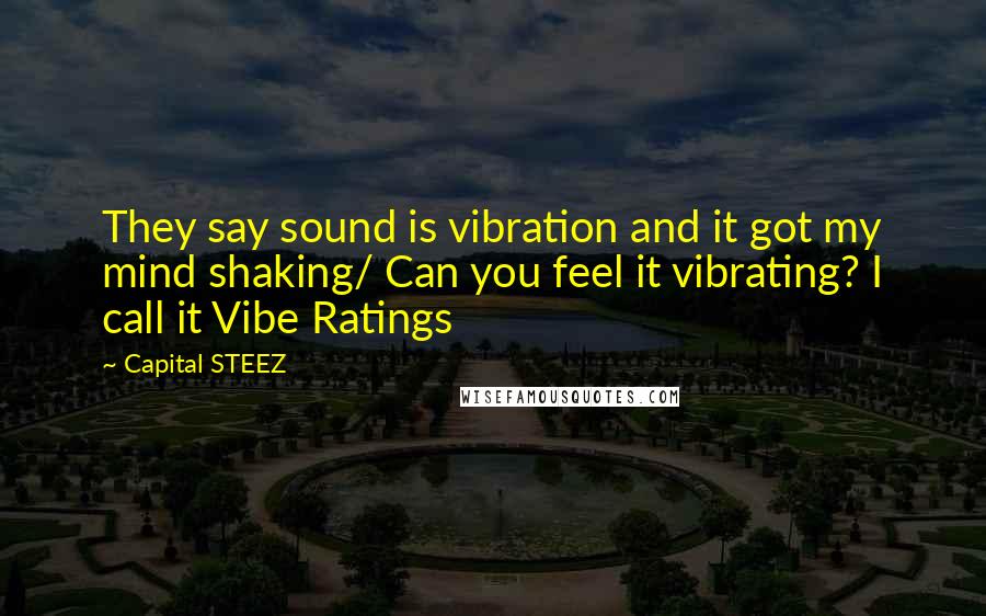 Capital STEEZ Quotes: They say sound is vibration and it got my mind shaking/ Can you feel it vibrating? I call it Vibe Ratings