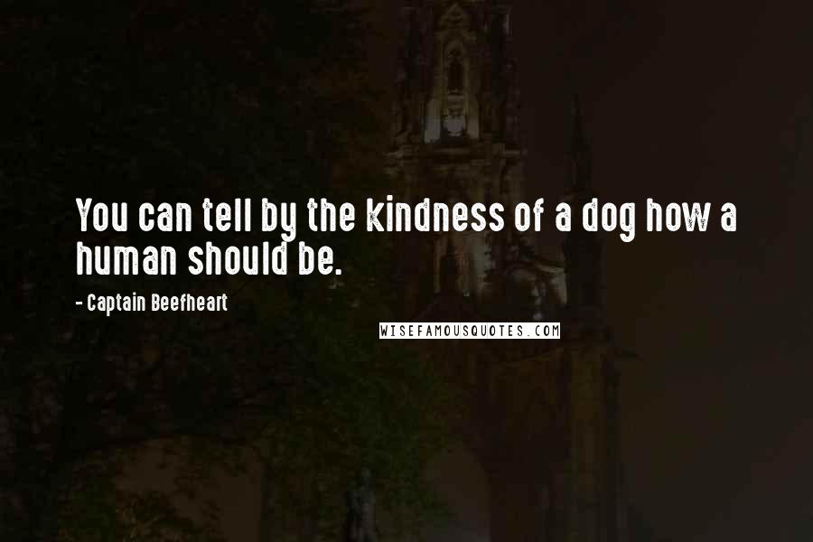 Captain Beefheart Quotes: You can tell by the kindness of a dog how a human should be.