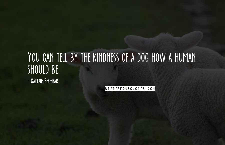 Captain Beefheart Quotes: You can tell by the kindness of a dog how a human should be.