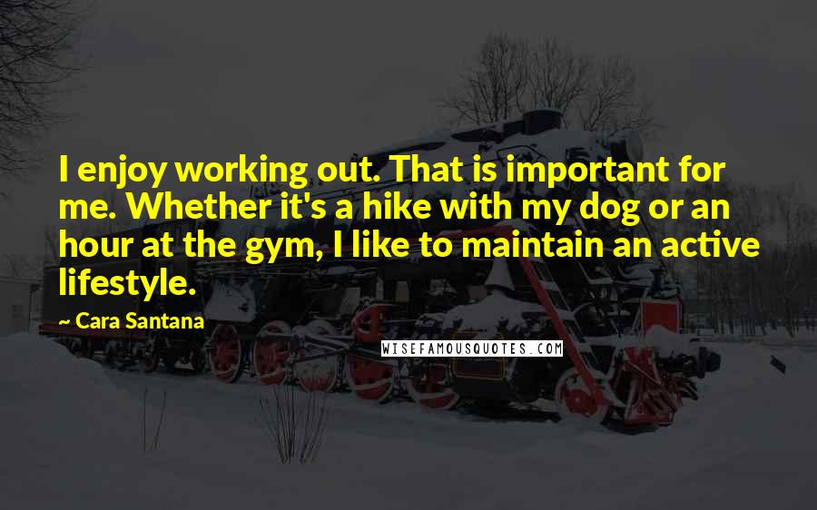 Cara Santana Quotes: I enjoy working out. That is important for me. Whether it's a hike with my dog or an hour at the gym, I like to maintain an active lifestyle.