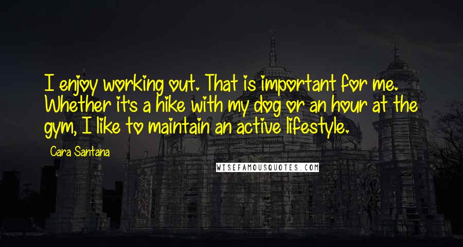 Cara Santana Quotes: I enjoy working out. That is important for me. Whether it's a hike with my dog or an hour at the gym, I like to maintain an active lifestyle.