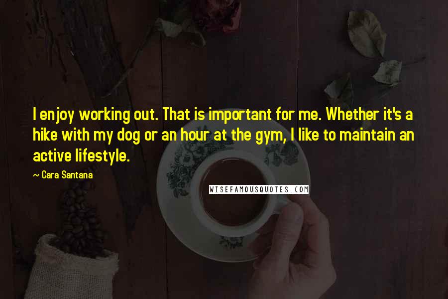 Cara Santana Quotes: I enjoy working out. That is important for me. Whether it's a hike with my dog or an hour at the gym, I like to maintain an active lifestyle.