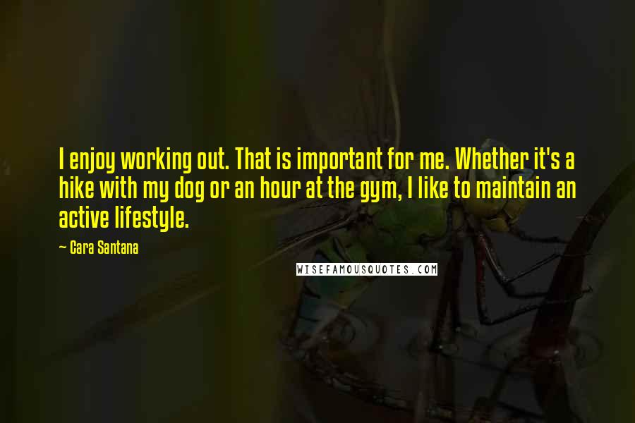 Cara Santana Quotes: I enjoy working out. That is important for me. Whether it's a hike with my dog or an hour at the gym, I like to maintain an active lifestyle.