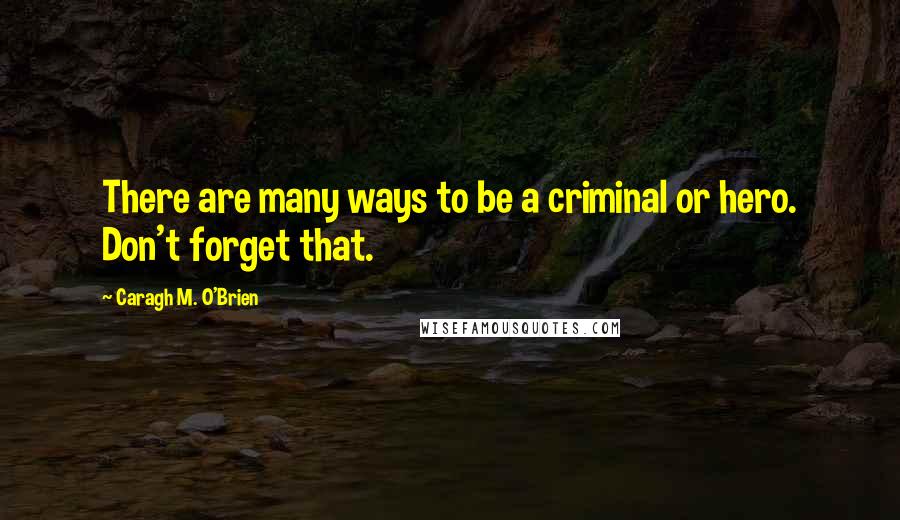 Caragh M. O'Brien Quotes: There are many ways to be a criminal or hero. Don't forget that.