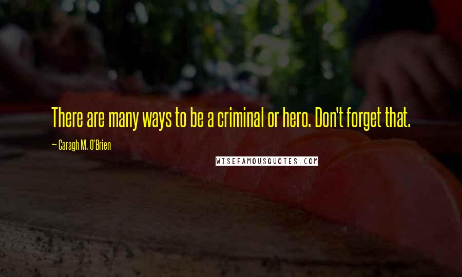Caragh M. O'Brien Quotes: There are many ways to be a criminal or hero. Don't forget that.