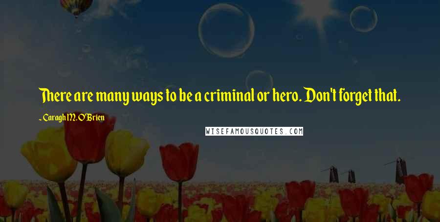 Caragh M. O'Brien Quotes: There are many ways to be a criminal or hero. Don't forget that.