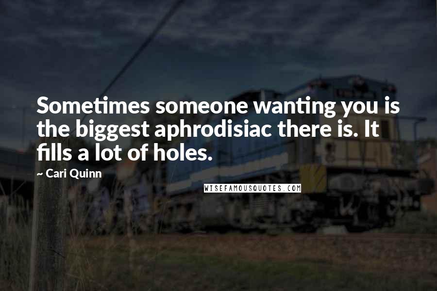 Cari Quinn Quotes: Sometimes someone wanting you is the biggest aphrodisiac there is. It fills a lot of holes.