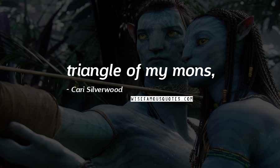 Cari Silverwood Quotes: triangle of my mons,