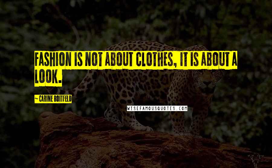 Carine Roitfeld Quotes: Fashion is not about clothes, it is about a look.