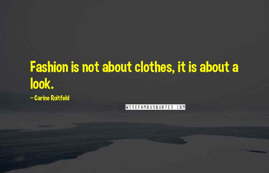 Carine Roitfeld Quotes: Fashion is not about clothes, it is about a look.