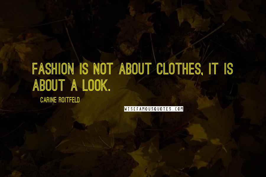 Carine Roitfeld Quotes: Fashion is not about clothes, it is about a look.