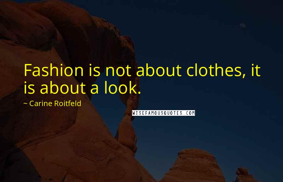 Carine Roitfeld Quotes: Fashion is not about clothes, it is about a look.