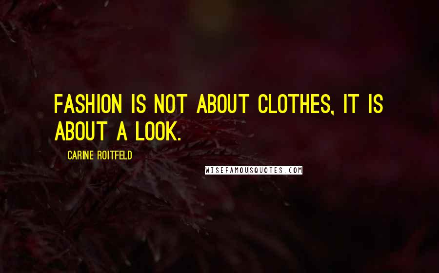 Carine Roitfeld Quotes: Fashion is not about clothes, it is about a look.