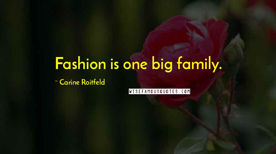 Carine Roitfeld Quotes: Fashion is one big family.