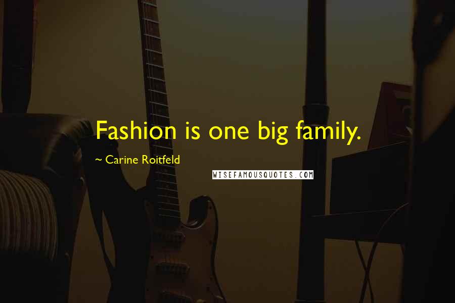 Carine Roitfeld Quotes: Fashion is one big family.