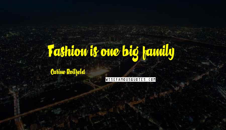Carine Roitfeld Quotes: Fashion is one big family.
