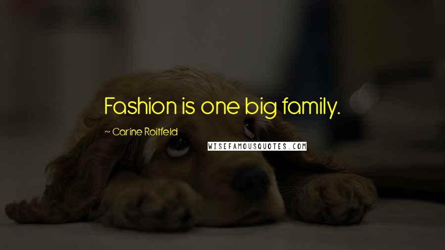 Carine Roitfeld Quotes: Fashion is one big family.