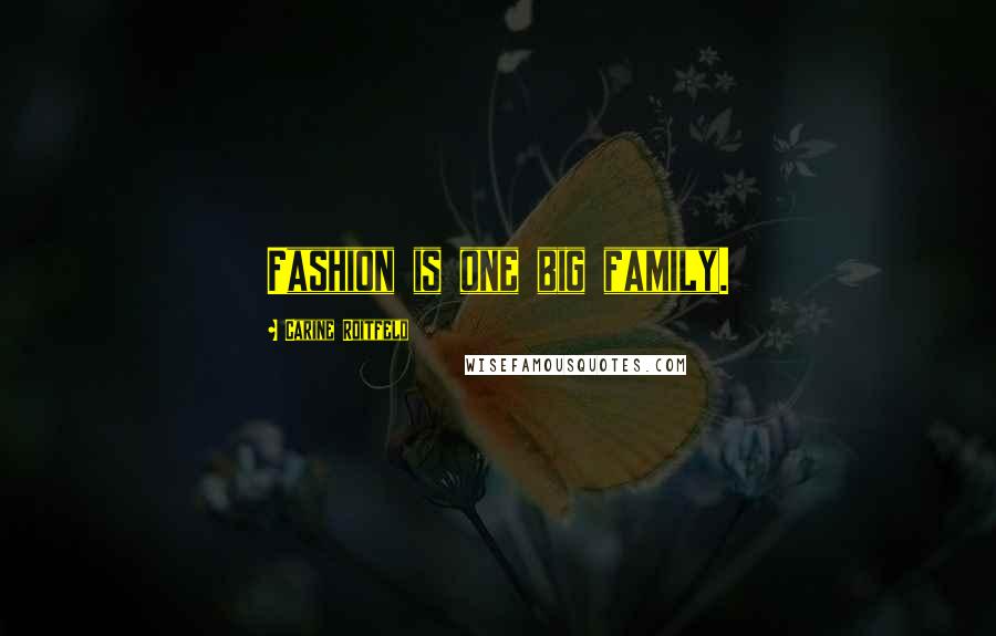 Carine Roitfeld Quotes: Fashion is one big family.