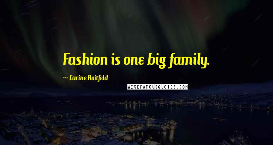 Carine Roitfeld Quotes: Fashion is one big family.