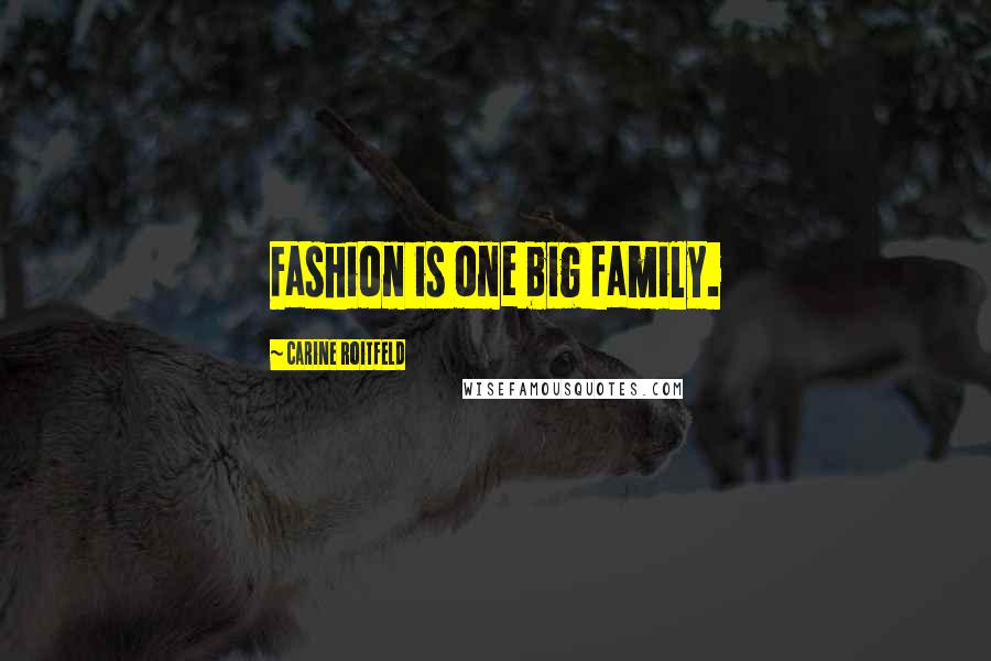 Carine Roitfeld Quotes: Fashion is one big family.