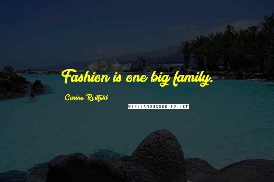 Carine Roitfeld Quotes: Fashion is one big family.