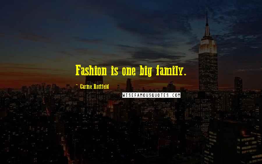 Carine Roitfeld Quotes: Fashion is one big family.