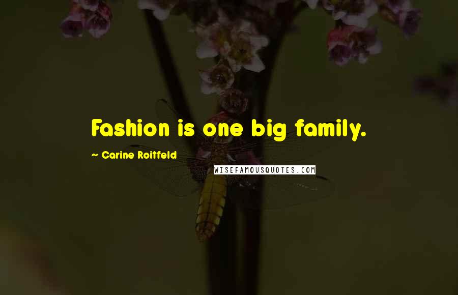 Carine Roitfeld Quotes: Fashion is one big family.