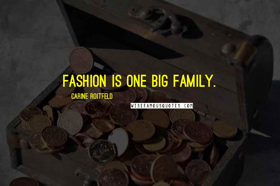 Carine Roitfeld Quotes: Fashion is one big family.