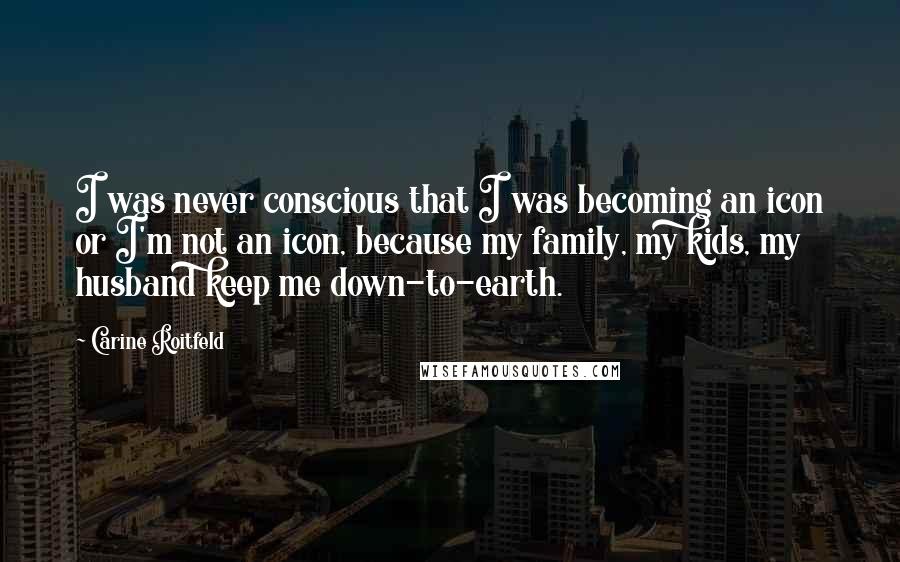 Carine Roitfeld Quotes: I was never conscious that I was becoming an icon or I'm not an icon, because my family, my kids, my husband keep me down-to-earth.