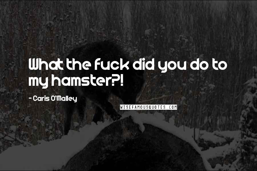 Caris O'Malley Quotes: What the fuck did you do to my hamster?!