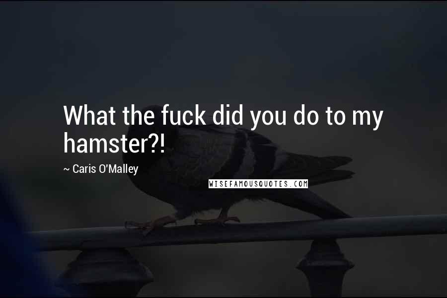 Caris O'Malley Quotes: What the fuck did you do to my hamster?!