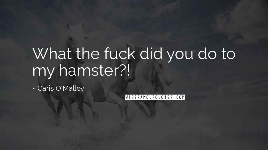 Caris O'Malley Quotes: What the fuck did you do to my hamster?!