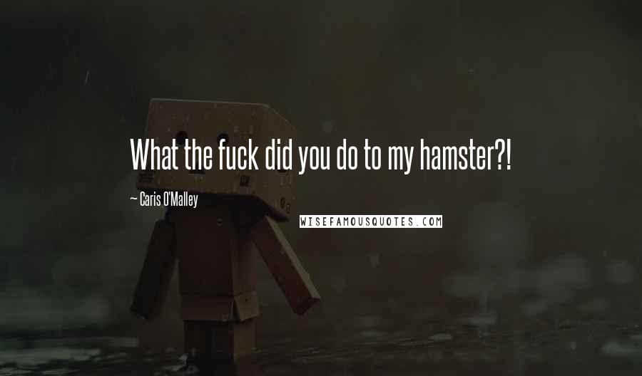 Caris O'Malley Quotes: What the fuck did you do to my hamster?!